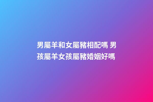 男屬羊和女屬豬相配嗎 男孩屬羊女孩屬豬婚姻好嗎-第1張-觀點-玄機派